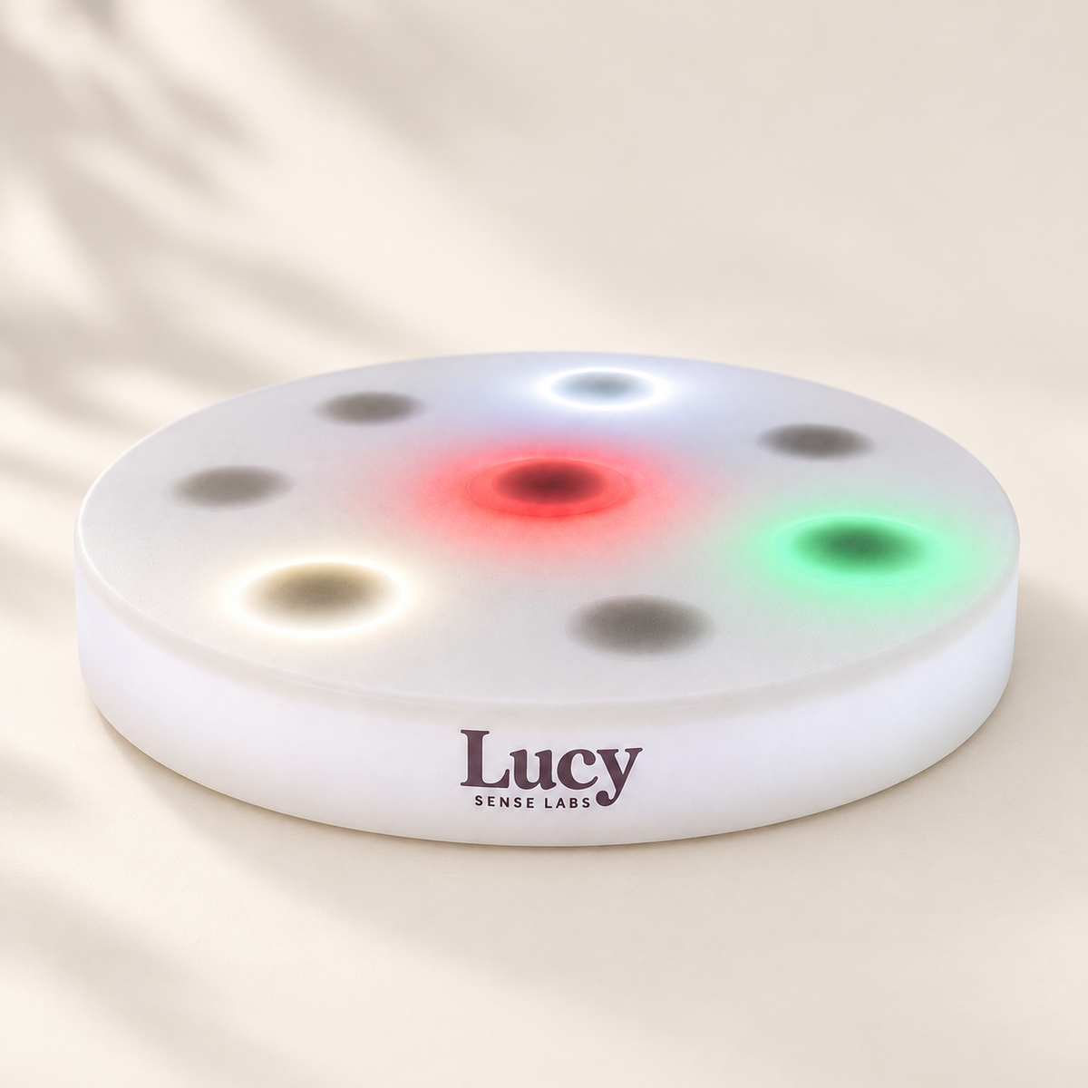Lucy's Interactive LED Sensory Board
