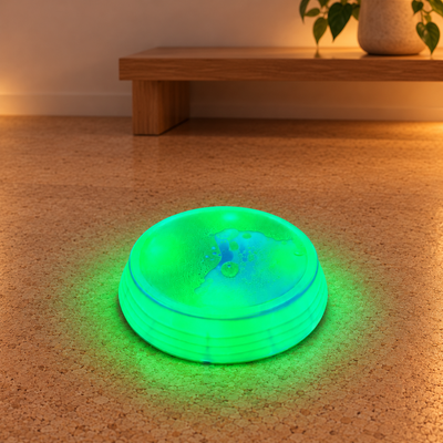 Lucys runder LED-Sensorik-Trittstein