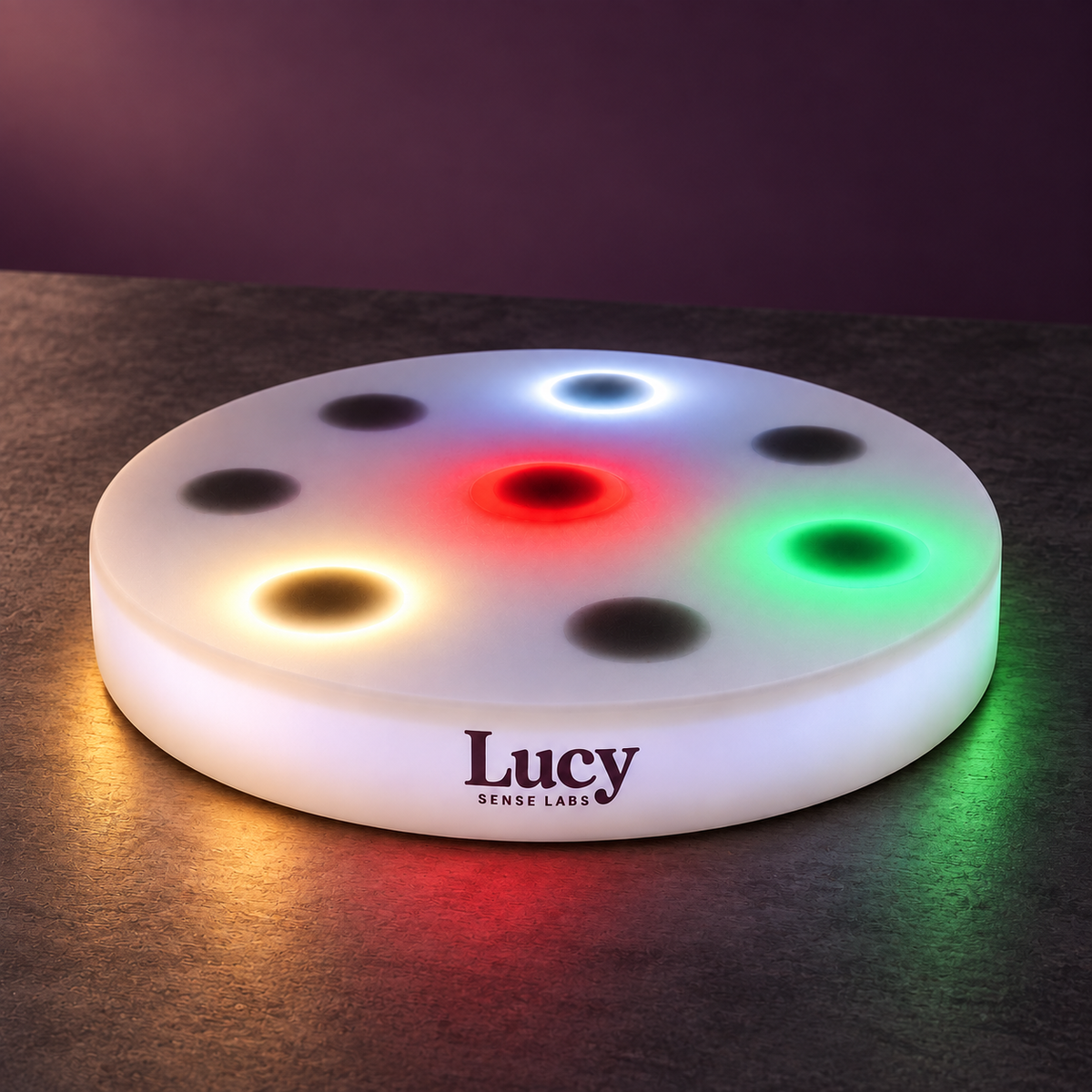 Lucys interaktives LED-Sensorikboard