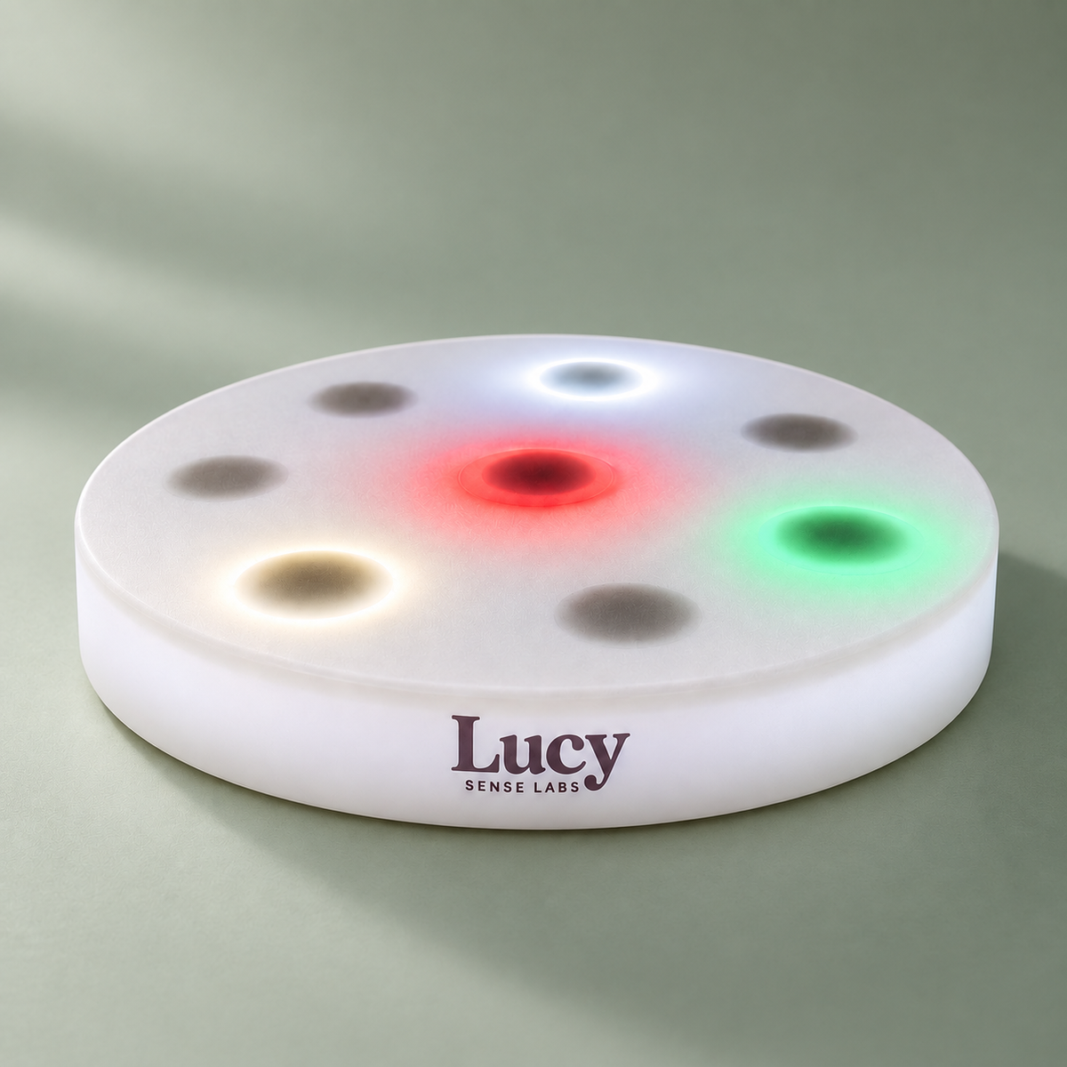 Lucys interaktives LED-Sensorikboard